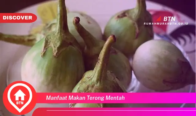 manfaat makan terong mentah