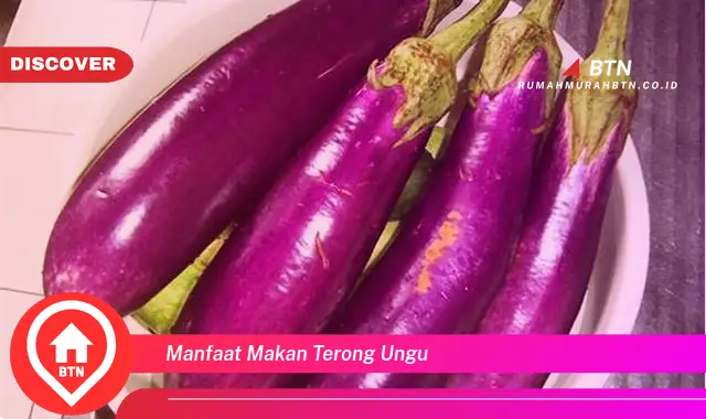 manfaat makan terong ungu