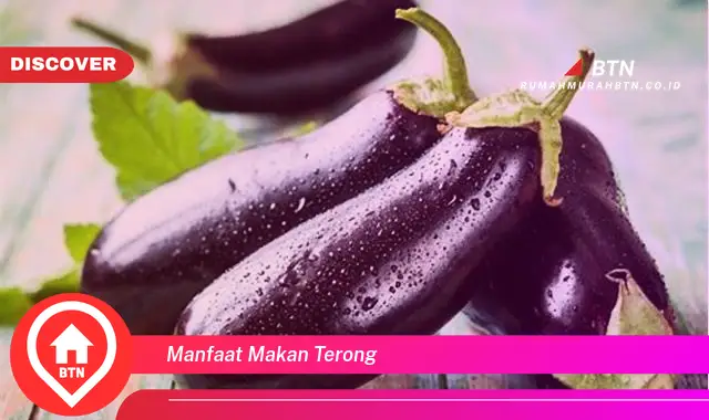 manfaat makan terong