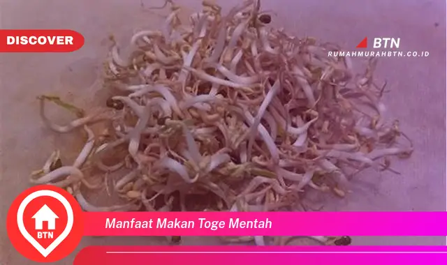 manfaat makan toge mentah