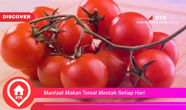 manfaat makan tomat mentah setiap hari