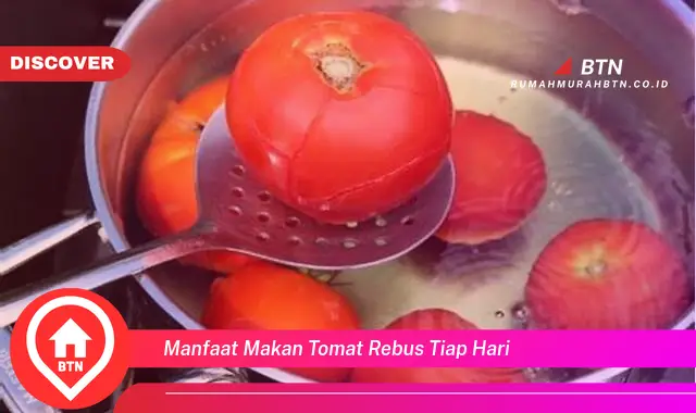 manfaat makan tomat rebus tiap hari