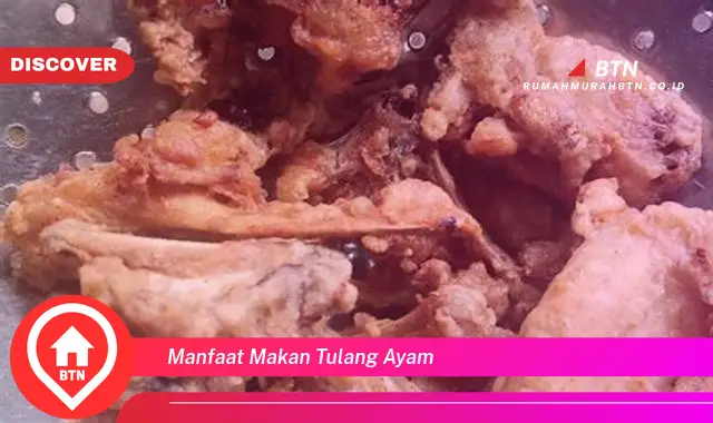 manfaat makan tulang ayam