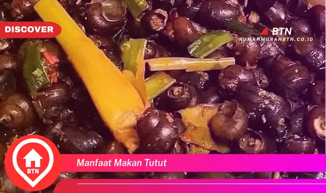 manfaat makan tutut