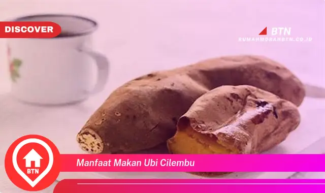 manfaat makan ubi cilembu