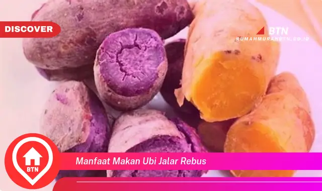 manfaat makan ubi jalar rebus