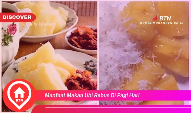 manfaat makan ubi rebus di pagi hari