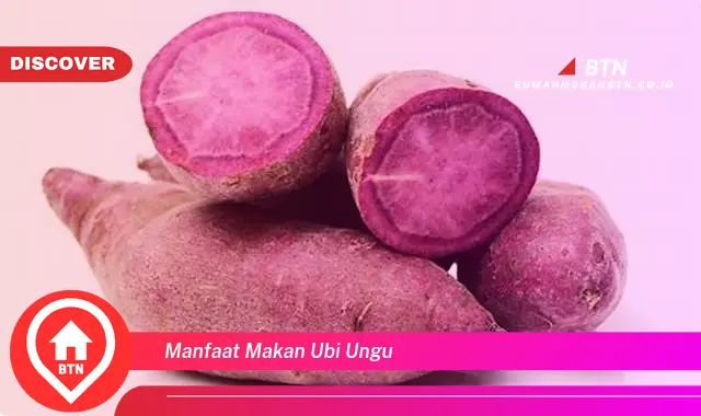 manfaat makan ubi ungu