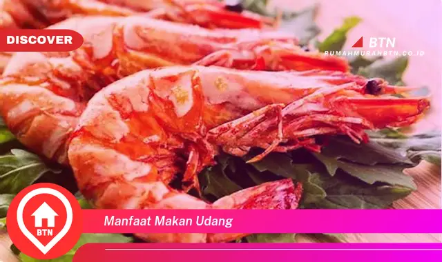 manfaat makan udang