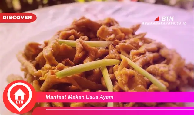 manfaat makan usus ayam