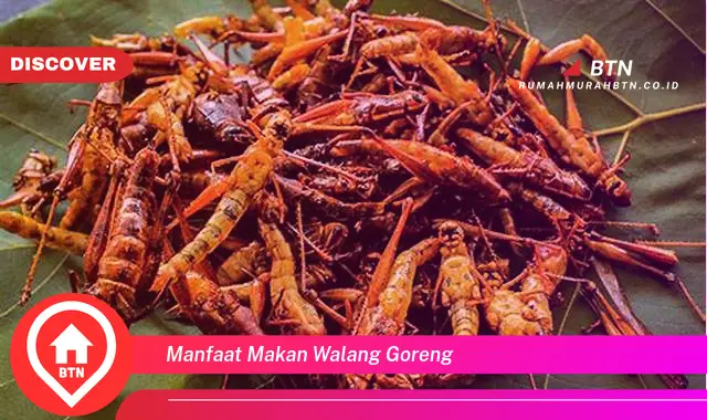 manfaat makan walang goreng