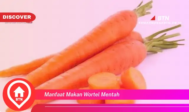 manfaat makan wortel mentah