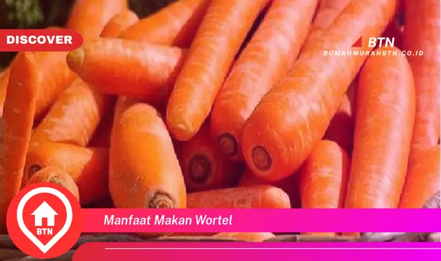 manfaat makan wortel