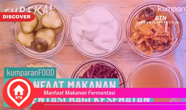 manfaat makanan fermentasi