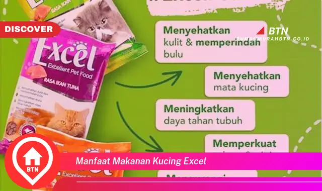 manfaat makanan kucing excel