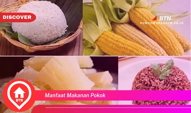 manfaat makanan pokok