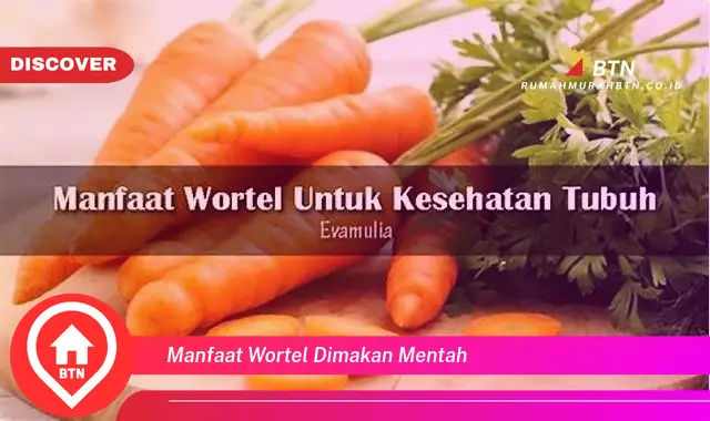 manfaat wortel dimakan mentah