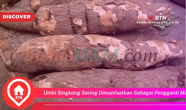 umbi singkong sering dimanfaatkan sebagai pengganti makanan pokok karena