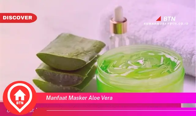 manfaat masker aloe vera