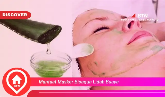 manfaat masker bioaqua lidah buaya