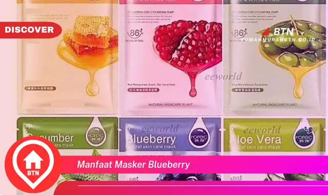 manfaat masker blueberry