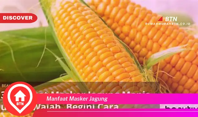 manfaat masker jagung