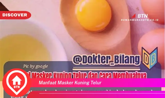 manfaat masker kuning telur