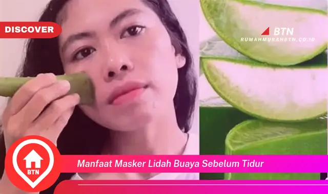 manfaat masker lidah buaya sebelum tidur