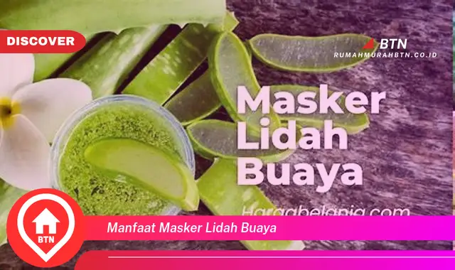 manfaat masker lidah buaya