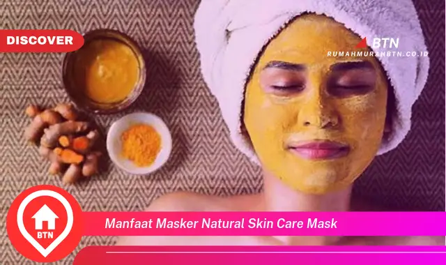 manfaat masker natural skin care mask