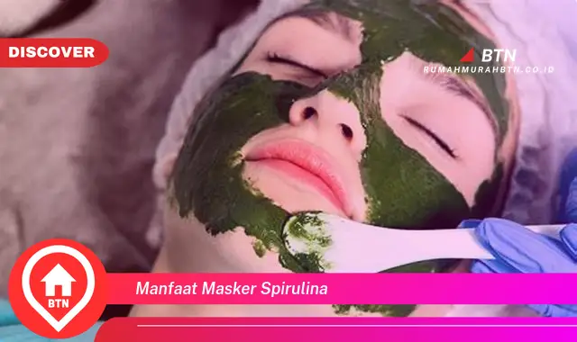 manfaat masker spirulina