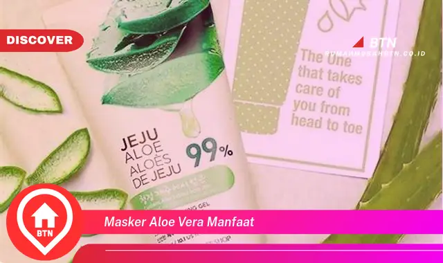 masker aloe vera manfaat