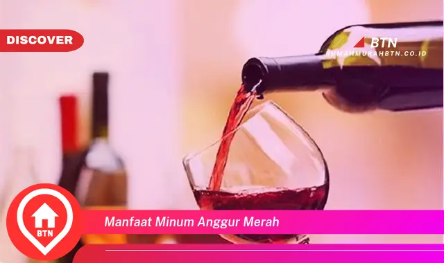 manfaat minum anggur merah