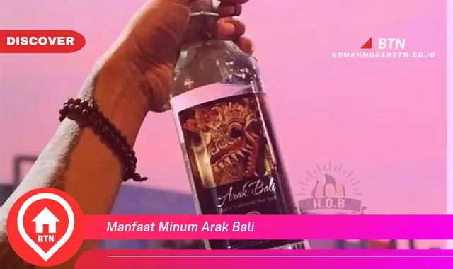 manfaat minum arak bali