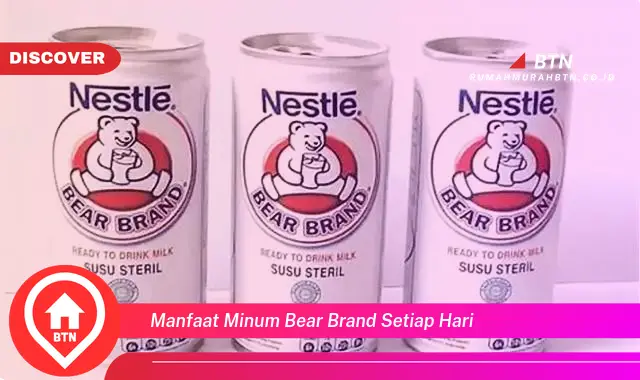 manfaat minum bear brand setiap hari