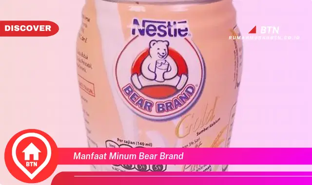 manfaat minum bear brand