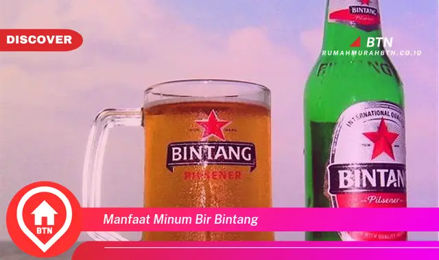 manfaat minum bir bintang