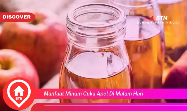 manfaat minum cuka apel di malam hari