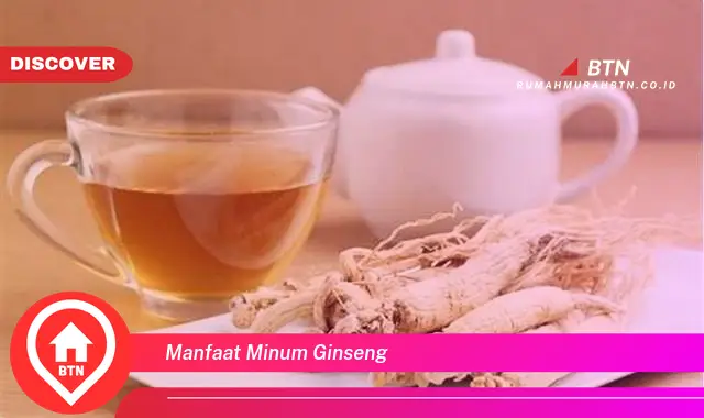 manfaat minum ginseng