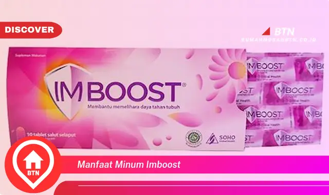 manfaat minum imboost