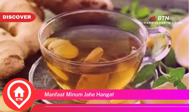 manfaat minum jahe hangat