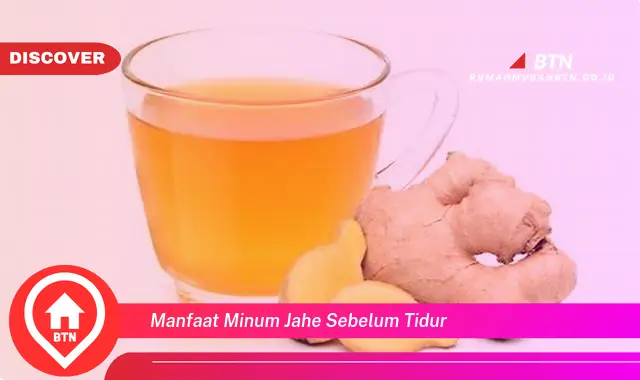 manfaat minum jahe sebelum tidur