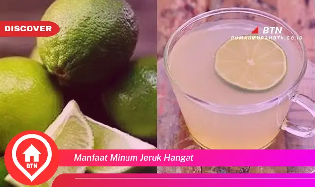 manfaat minum jeruk hangat