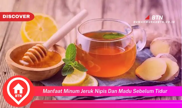 manfaat minum jeruk nipis dan madu sebelum tidur