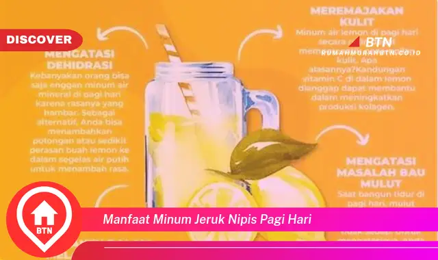 manfaat minum jeruk nipis pagi hari