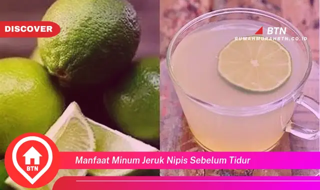 manfaat minum jeruk nipis sebelum tidur