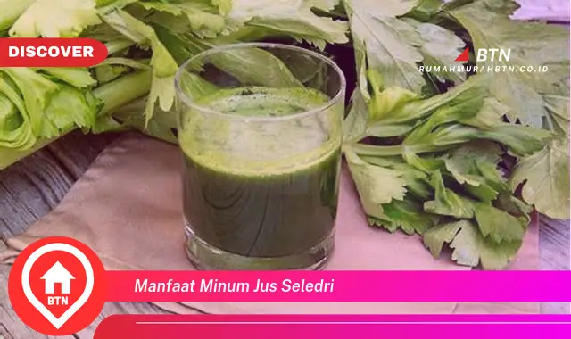 manfaat minum jus seledri