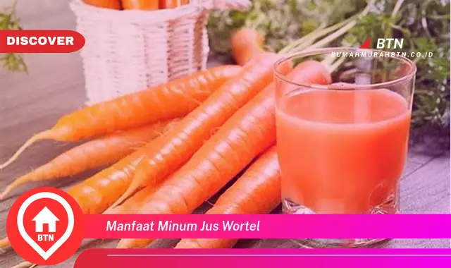 manfaat minum jus wortel