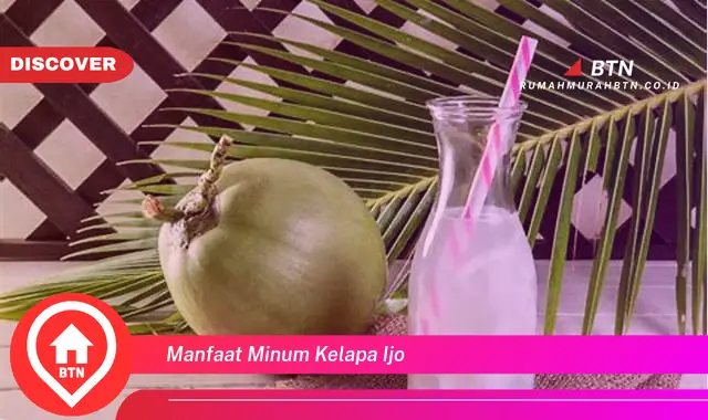 manfaat minum kelapa ijo