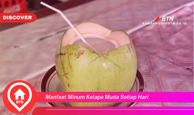 manfaat minum kelapa muda setiap hari